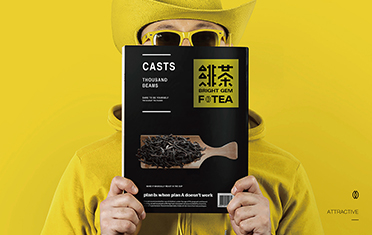四川绯茶品牌设计